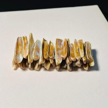 Sea Shell Stretch Bracelet